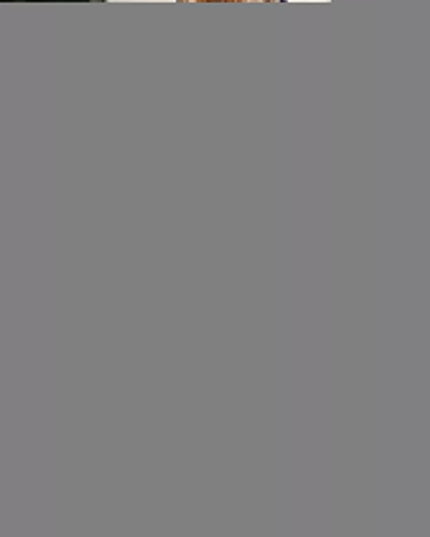dd2827d00892e6c00b63246b29fc6c5e-843302c7-v3-Max-Origin