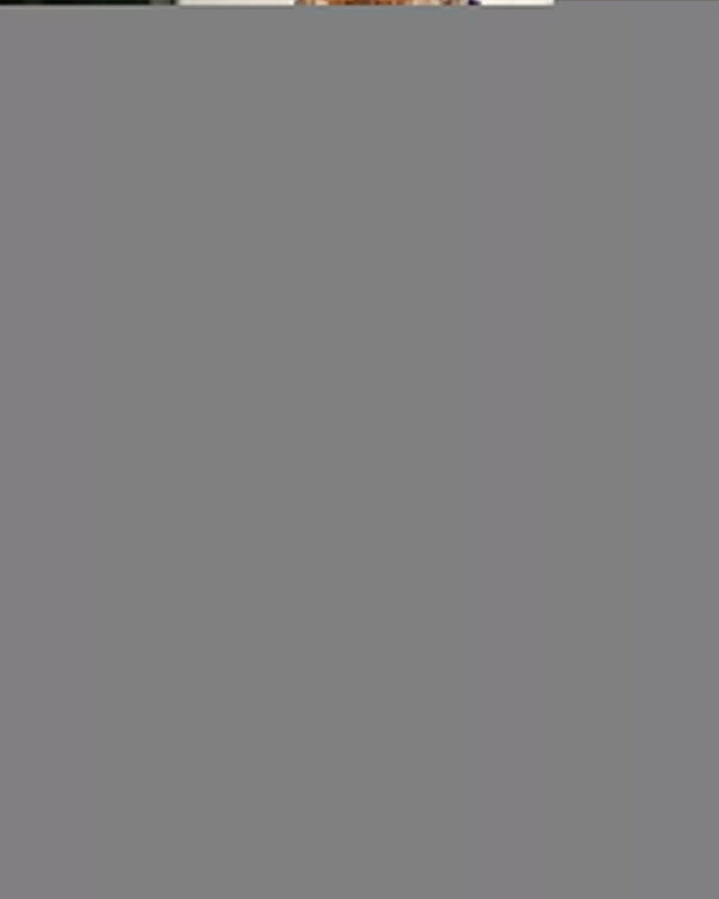 dd2827d00892e6c00b63246b29fc6c5e-843302c7-v3-Max-Origin